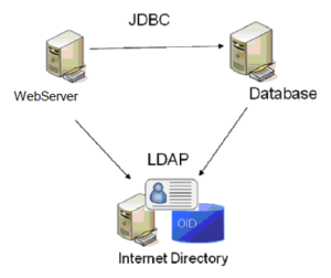 Install and Configure OpenLDAP