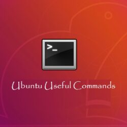 Ubuntu Useful Commands