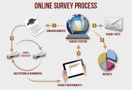 Online Survey System